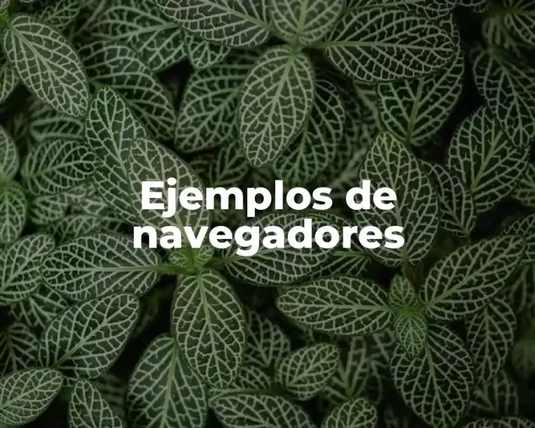 Ejemplos de navegadores