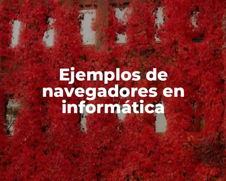 Ejemplos de navegadores en informática