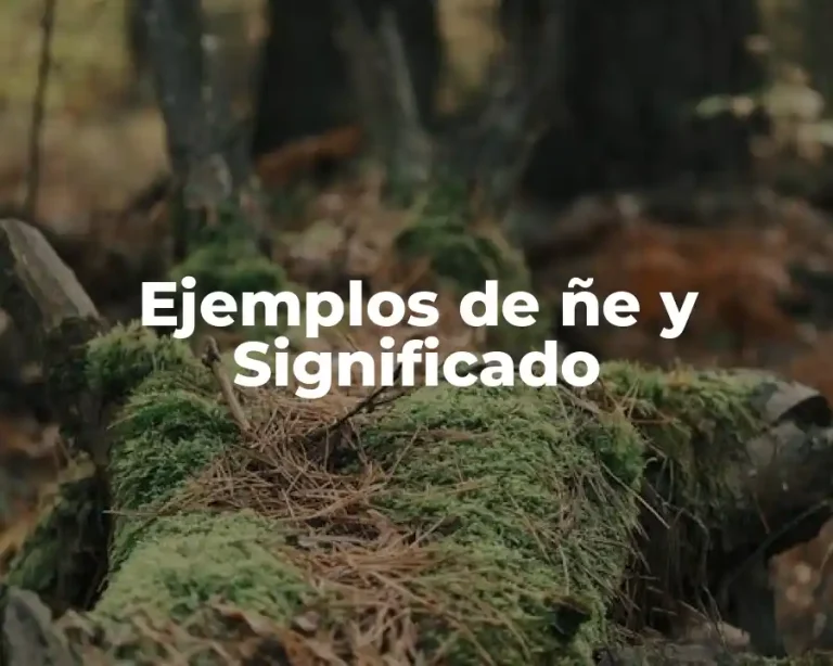 Ejemplos de ñe y Significado