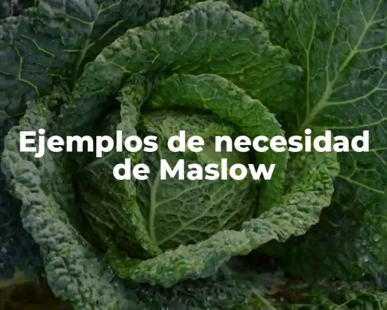 Ejemplos de necesidad de Maslow