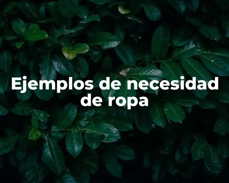 Ejemplos de necesidad de ropa