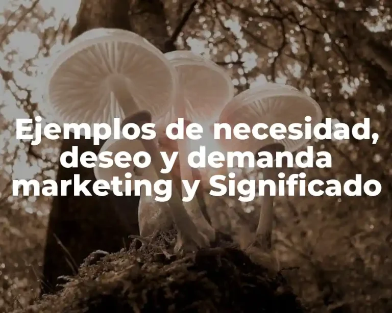 Ejemplos de necesidad, deseo y demanda marketing y Significado