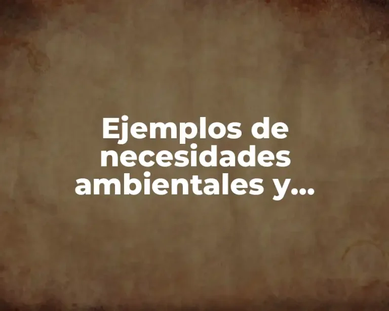 Ejemplos de necesidades ambientales y Significado