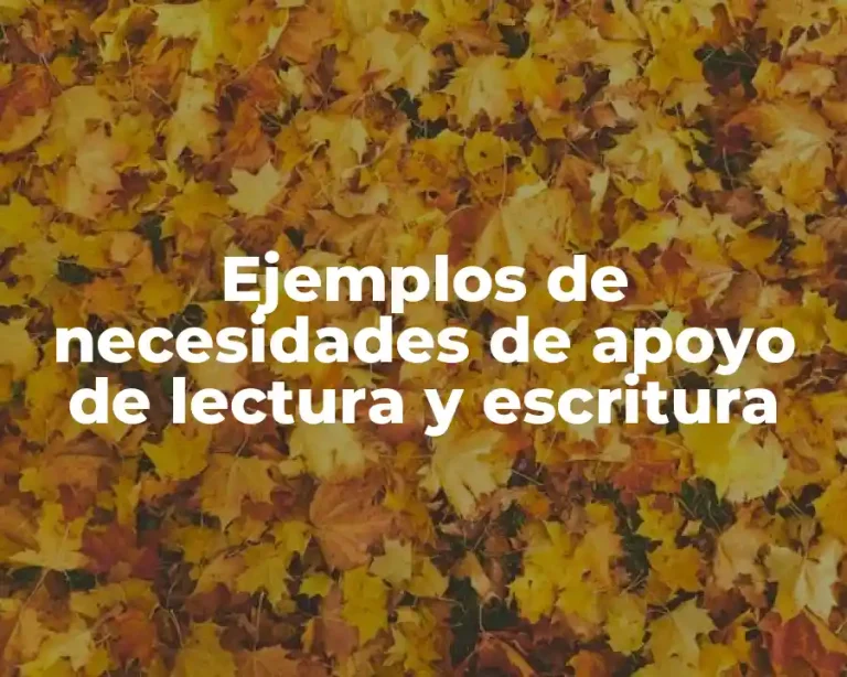 Ejemplos de necesidades de apoyo de lectura y escritura