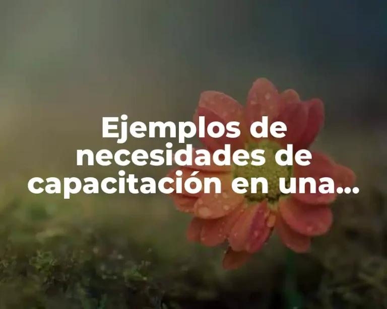 Ejemplos de necesidades de capacitación en una empresa