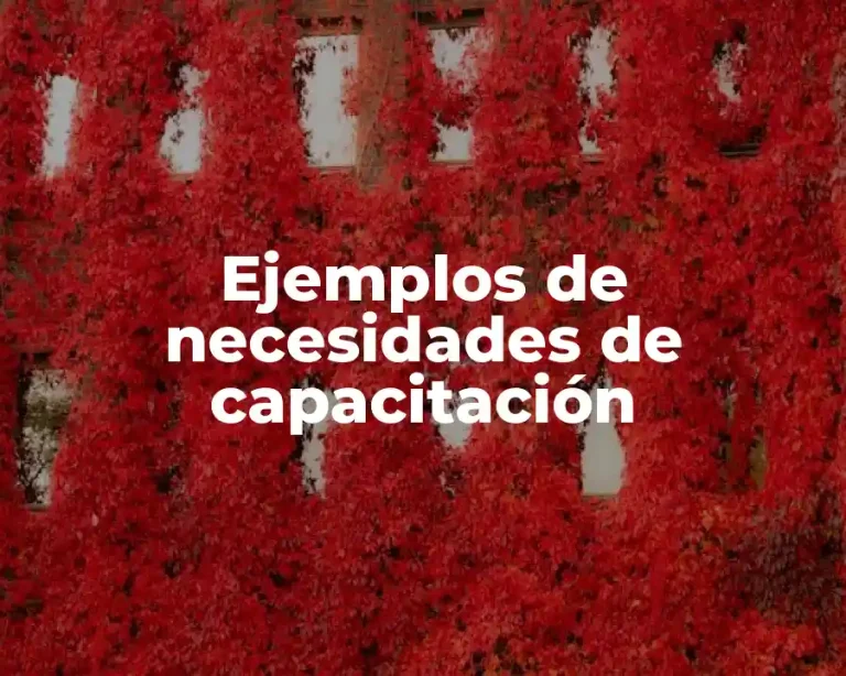Ejemplos de necesidades de capacitación