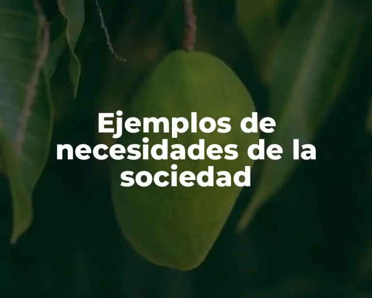 Ejemplos de necesidades de la sociedad