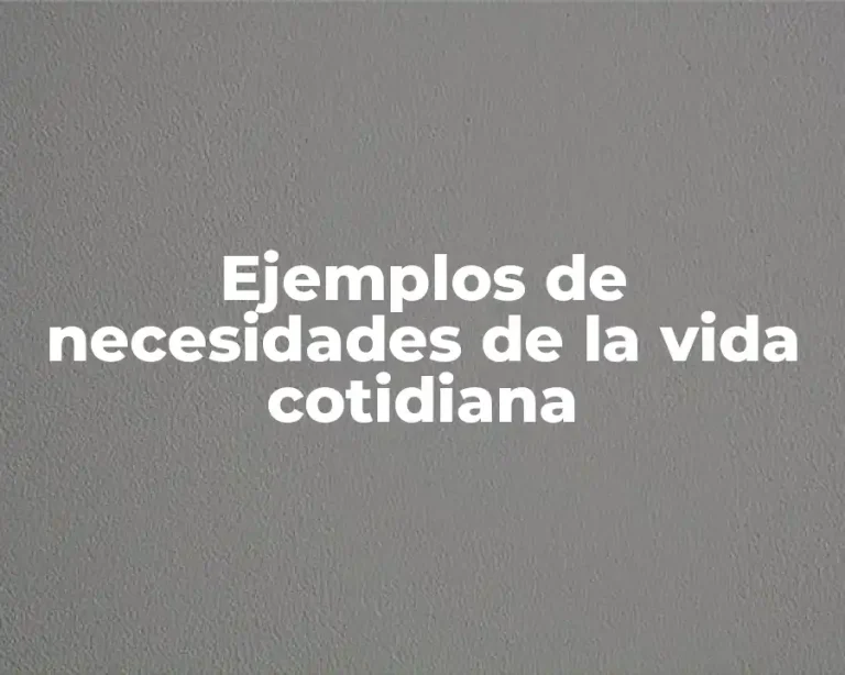 Ejemplos de necesidades de la vida cotidiana