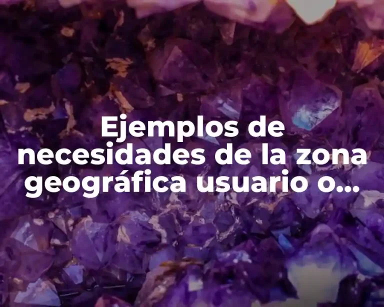 Ejemplos de necesidades de la zona geográfica usuario o cliente