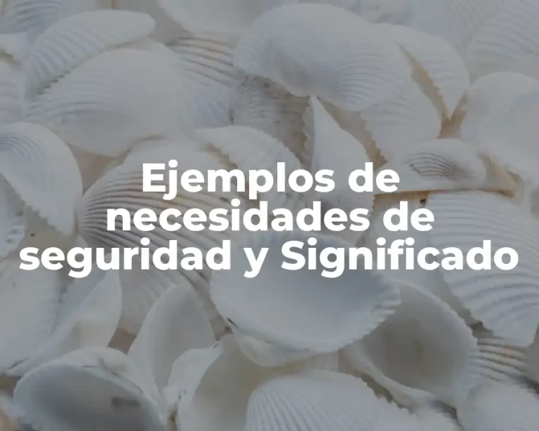 Ejemplos de necesidades de seguridad y Significado