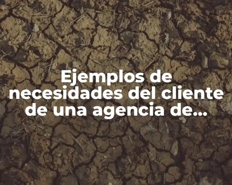 Ejemplos de necesidades del cliente de una agencia de autos