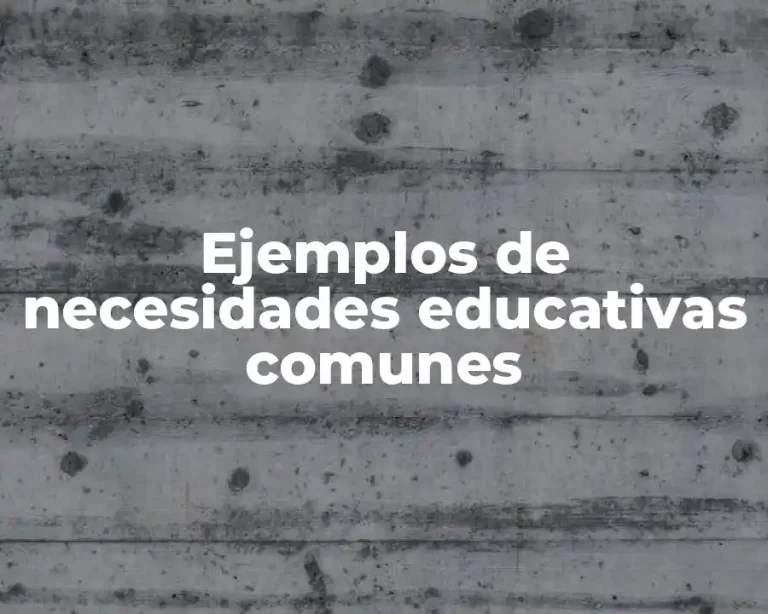 Ejemplos de necesidades educativas comunes