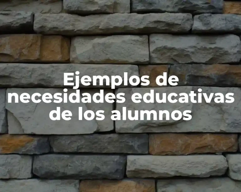 Ejemplos de necesidades educativas de los alumnos