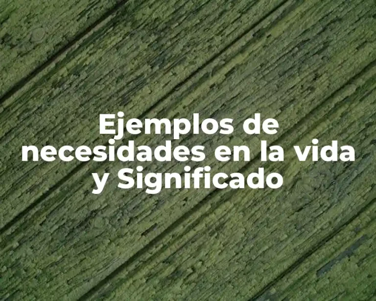 Ejemplos de necesidades en la vida y Significado