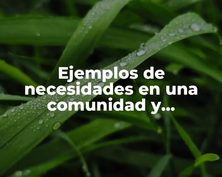 Ejemplos de necesidades en una comunidad y Significado