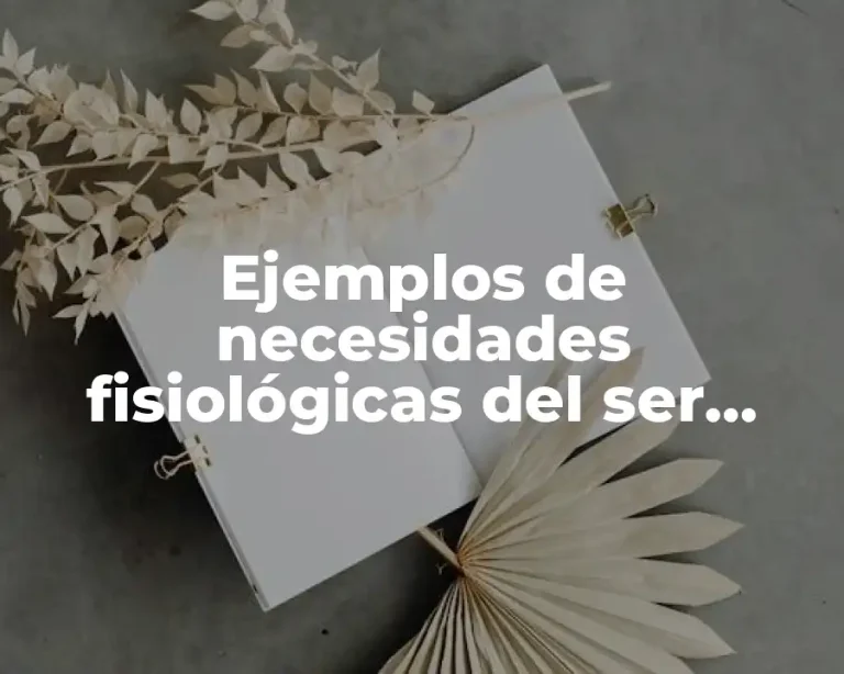 Ejemplos de necesidades fisiológicas del ser humano