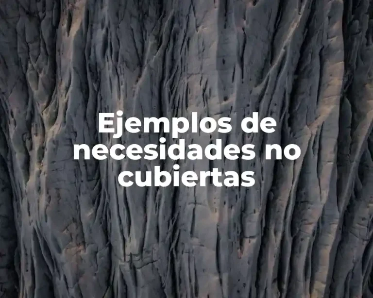 Ejemplos de necesidades no cubiertas