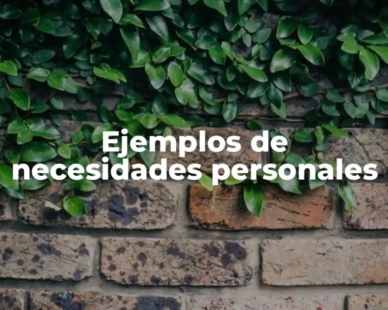 Ejemplos de necesidades personales