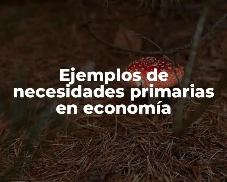 Ejemplos de necesidades primarias en economía
