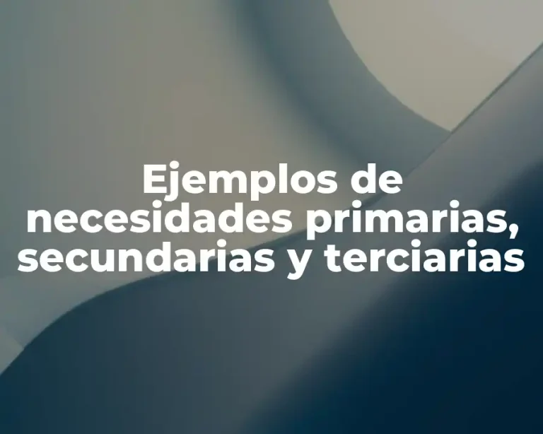 Ejemplos de necesidades primarias, secundarias y terciarias