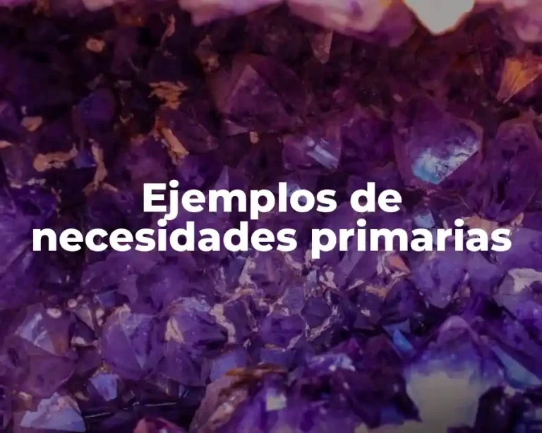 Ejemplos de necesidades primarias
