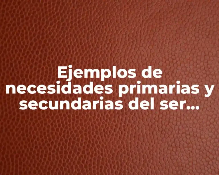 Ejemplos de necesidades primarias y secundarias del ser humano