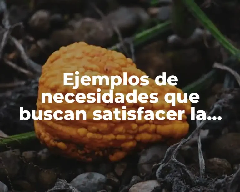 Ejemplos de necesidades que buscan satisfacer la st6ecnicas de manifactura