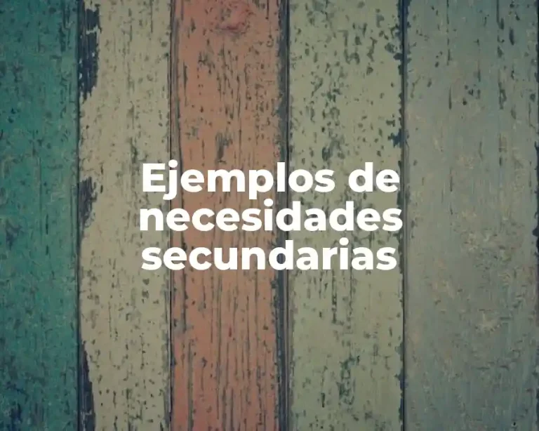 Ejemplos de necesidades secundarias