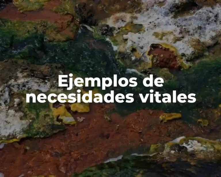 Ejemplos de necesidades vitales