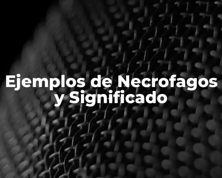 Ejemplos de Necrofagos y Significado