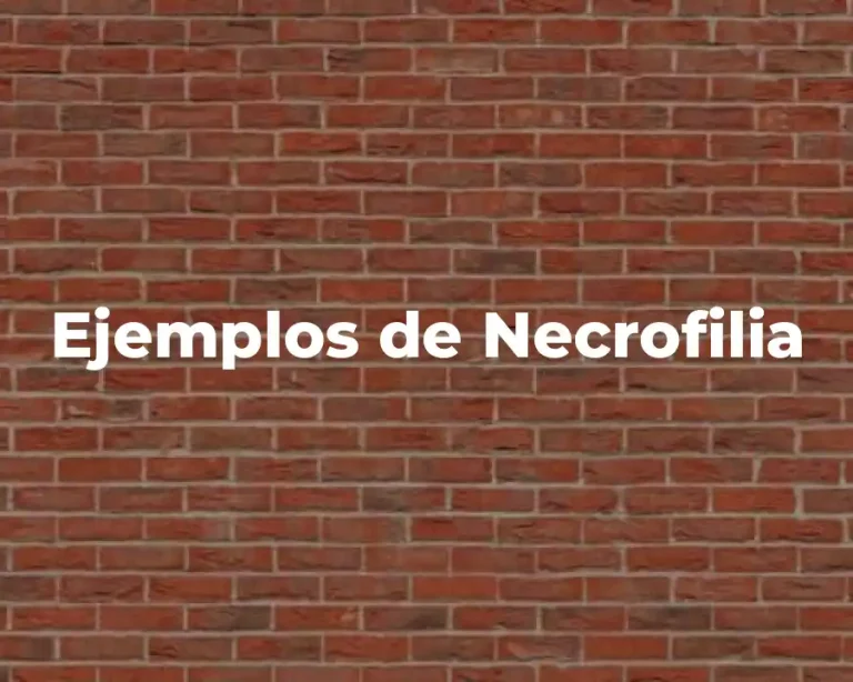 Ejemplos de Necrofilia