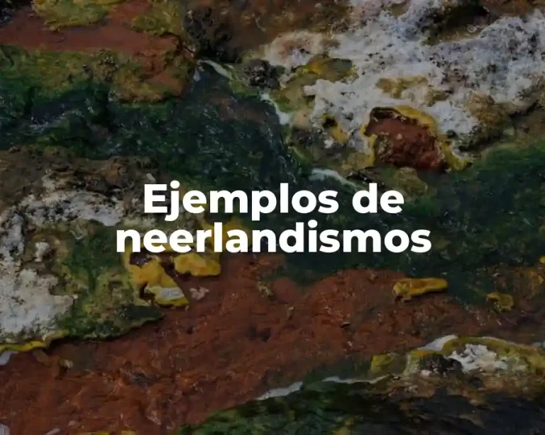 Ejemplos de neerlandismos