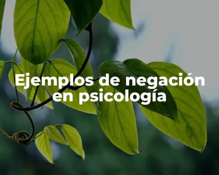 Ejemplos de negación en psicología