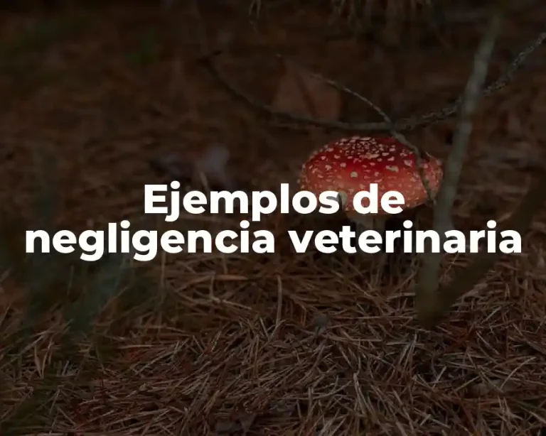 Ejemplos de negligencia veterinaria