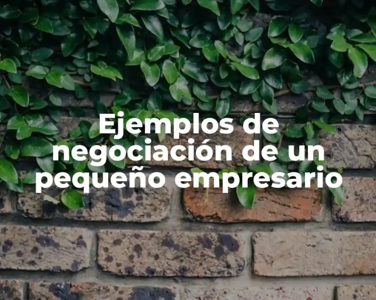 Ejemplos de negociación de un pequeño empresario