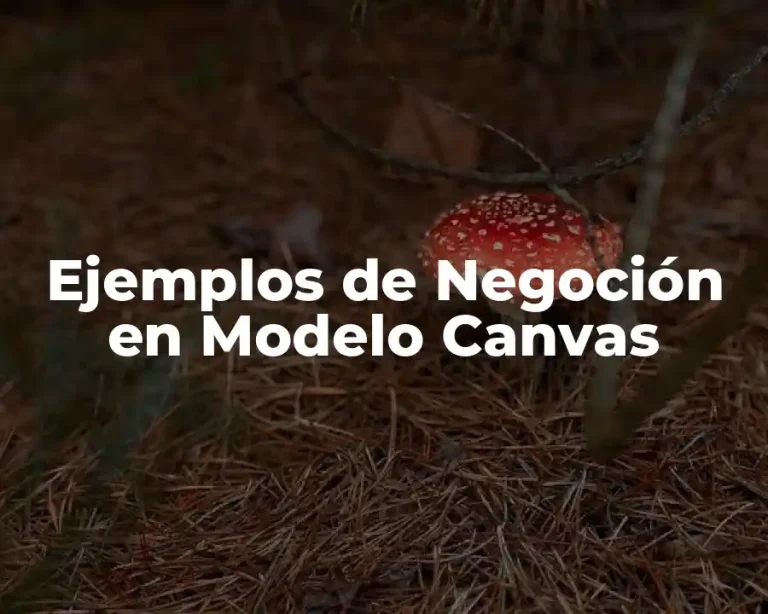 Ejemplos de Negoción en Modelo Canvas