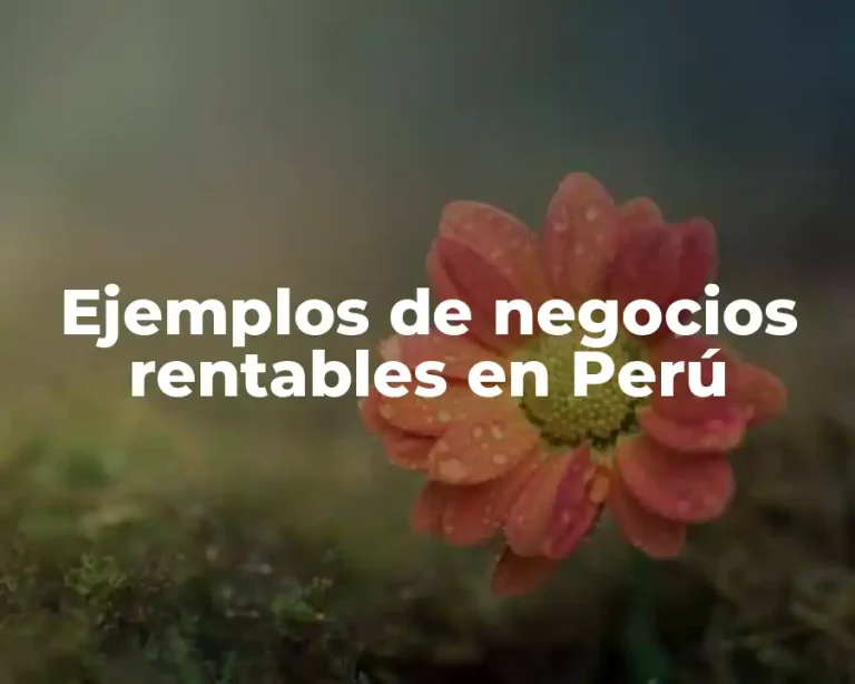 Ejemplos de negocios rentables en Perú