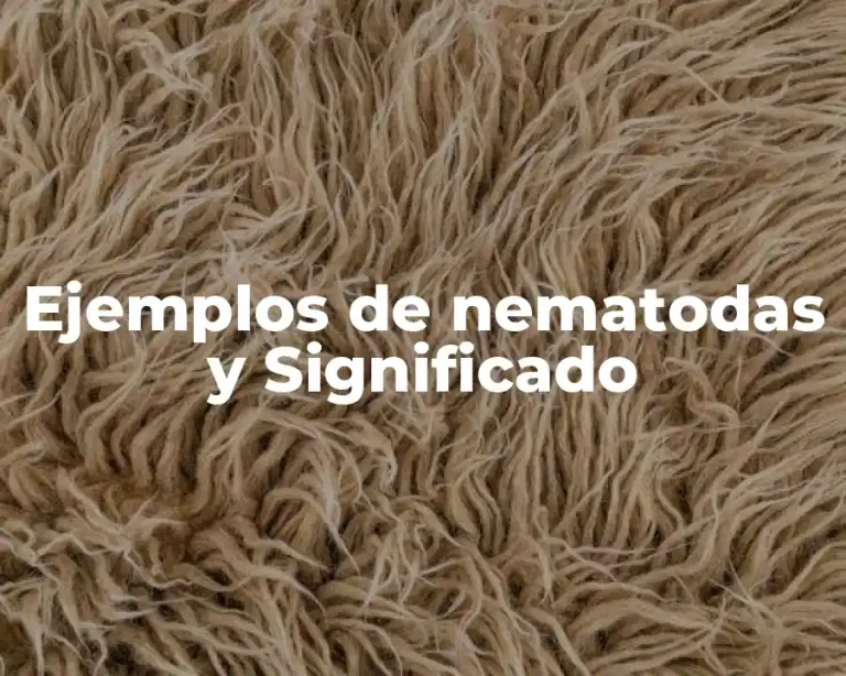 Ejemplos de nematodas y Significado