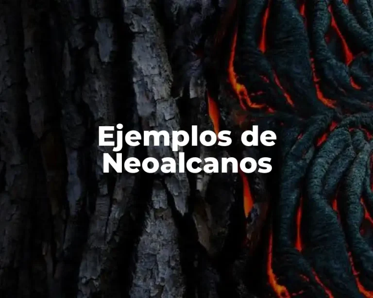 Ejemplos de Neoalcanos