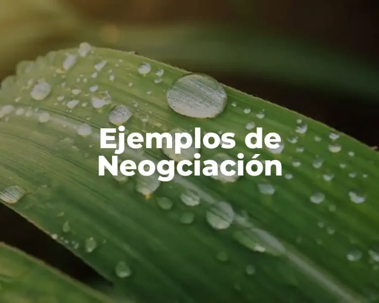 Ejemplos de Neogciación