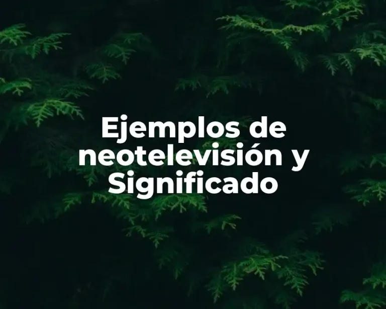 Ejemplos de neotelevisión y Significado