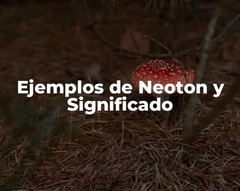 Ejemplos de Neoton y Significado