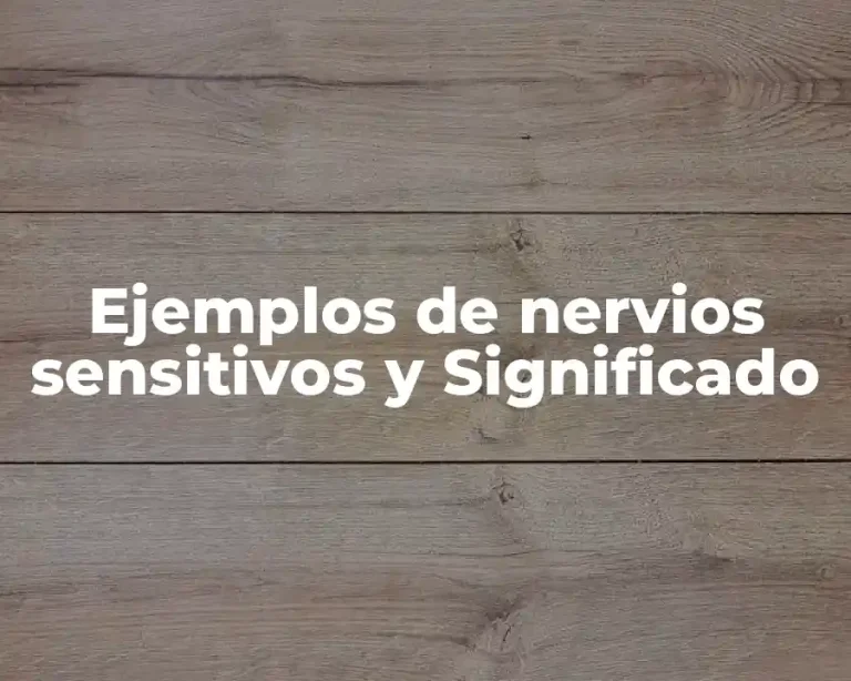 Ejemplos de nervios sensitivos y Significado