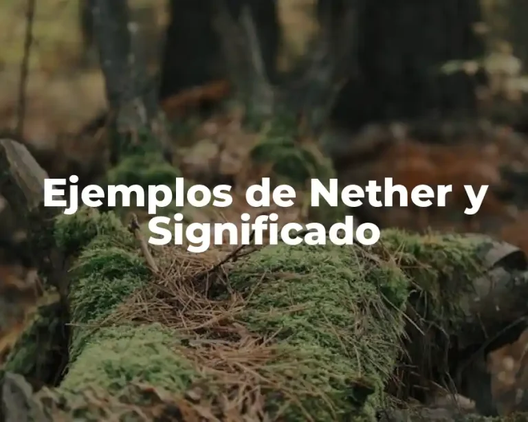 Ejemplos de Nether y Significado