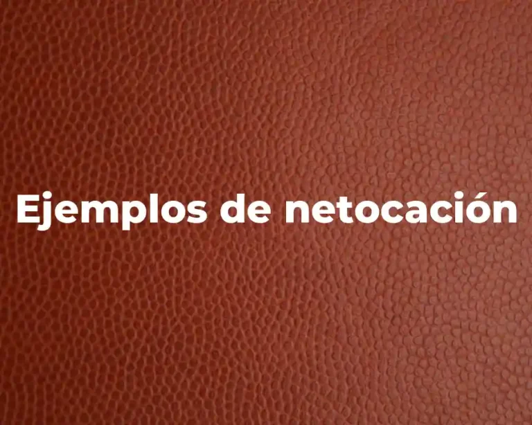 Ejemplos de netocación