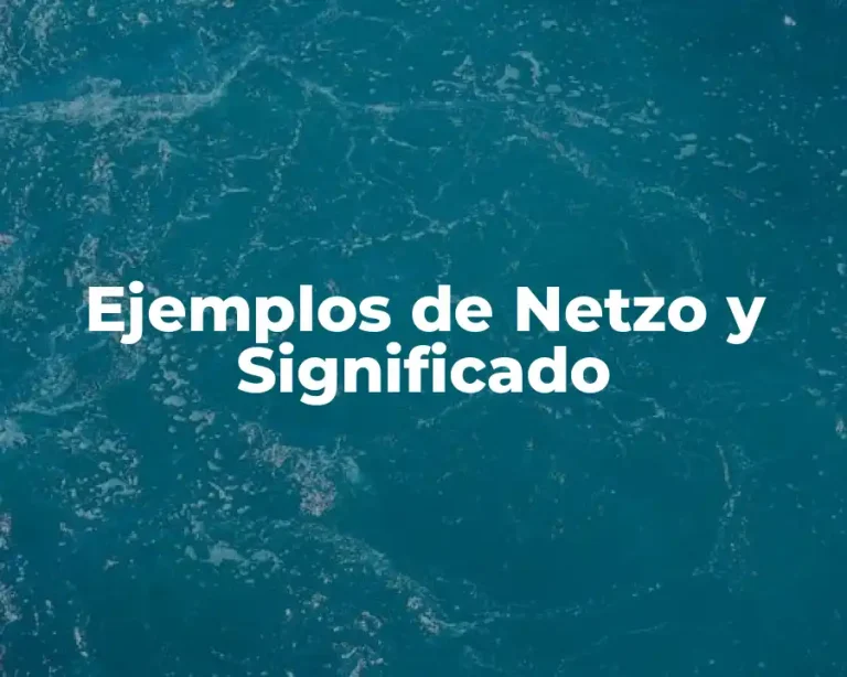 Ejemplos de Netzo y Significado