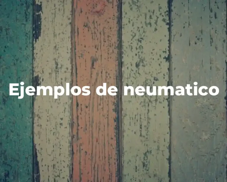 Ejemplos de neumatico