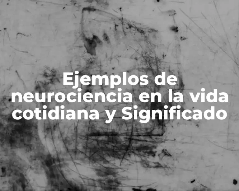 Ejemplos de neurociencia en la vida cotidiana y Significado
