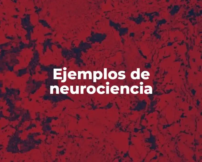 Ejemplos de neurociencia