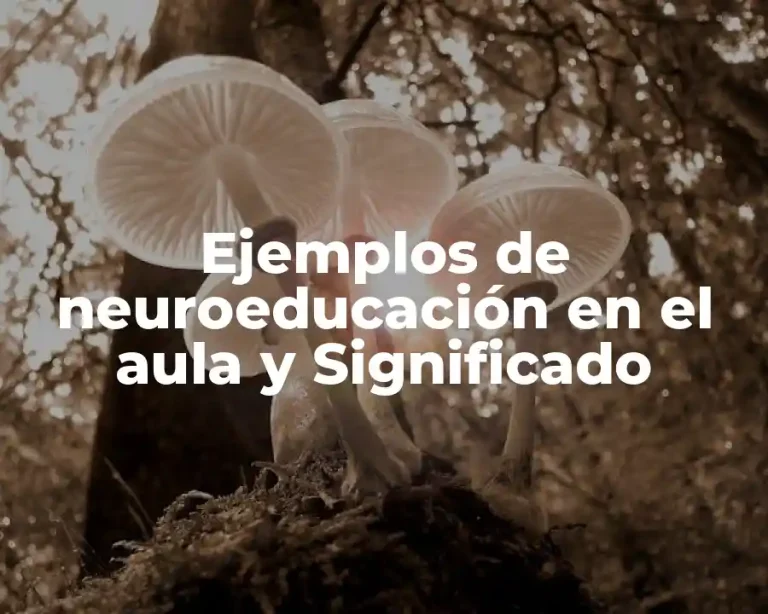 Ejemplos de neuroeducación en el aula y Significado